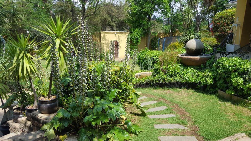 Villa Mikamora Johannesburg Exterior foto