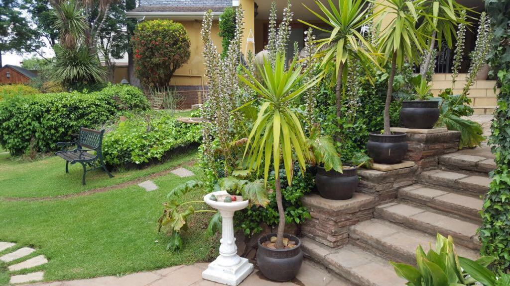 Villa Mikamora Johannesburg Exterior foto